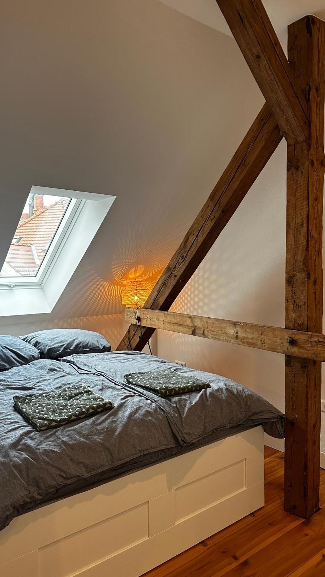 Ruhige-Moderne Wohnung Mit Burgblick Meissen Exterior photo